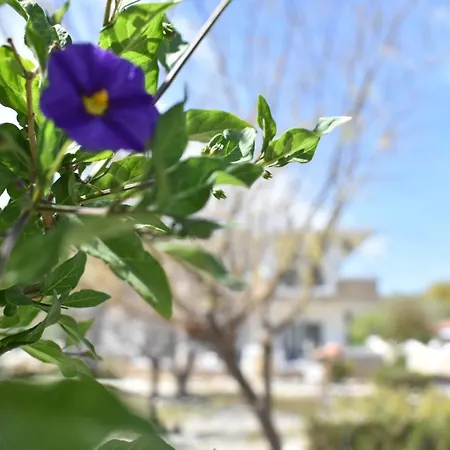 Casa De Kyra Ladiko * Faliraki